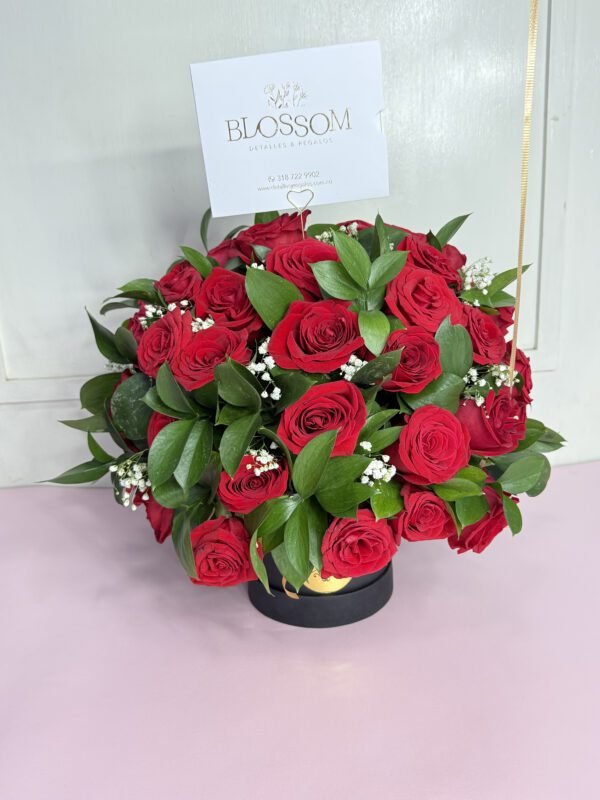 Cúpula de Rosas