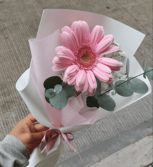 Solitario de Gerbera