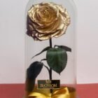 Rosa Eterna Premium rosa preservada que conserva su forma y color natural para el Día de la Madre – Blossom Cartagena