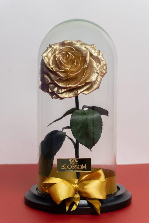 Rosa Eterna Premium rosa preservada que conserva su forma y color natural para el Día de la Madre – Blossom Cartagena